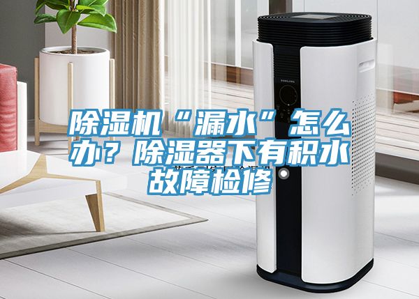 除濕機“漏水”怎么辦?除濕器下有積水故障檢修