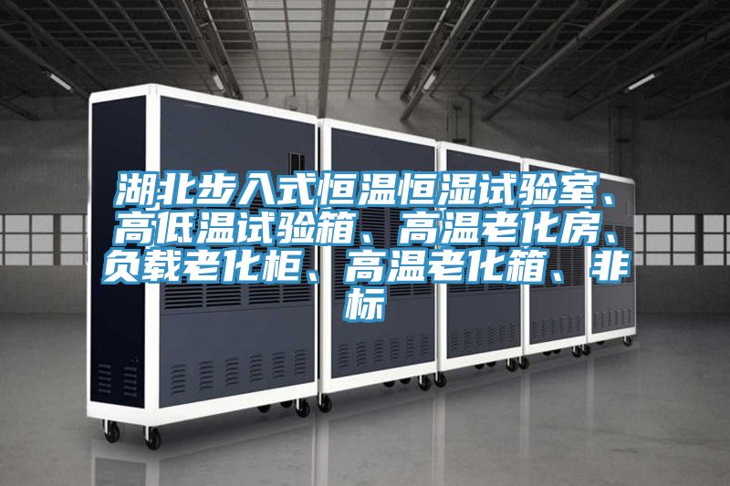 湖北步入式恒溫恒濕試驗室、高低溫試驗箱、高溫老化房、負載老化柜、高溫老化箱、非標