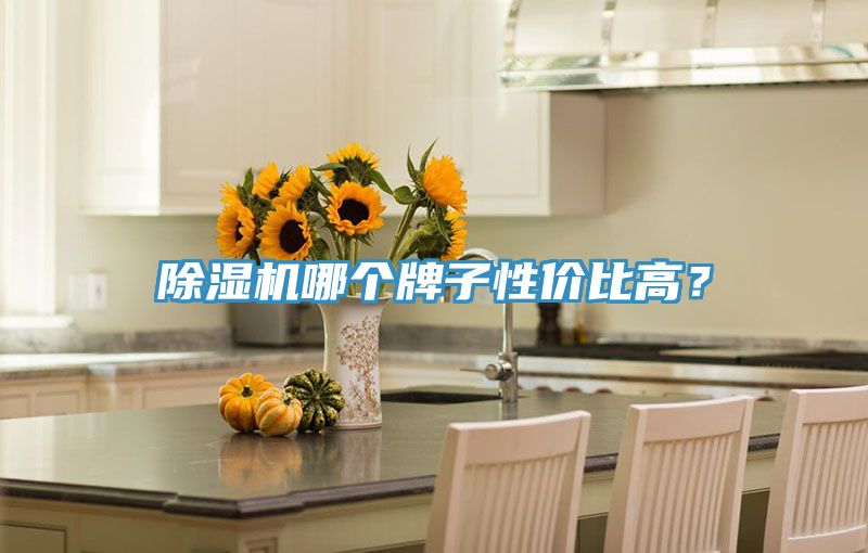 除濕機(jī)哪個(gè)牌子性?xún)r(jià)比高?