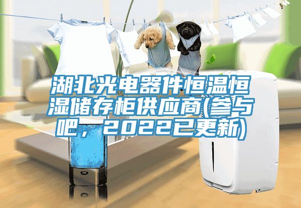 湖北光電器件恒溫恒濕儲存柜供應商(參與吧，2022已更新)