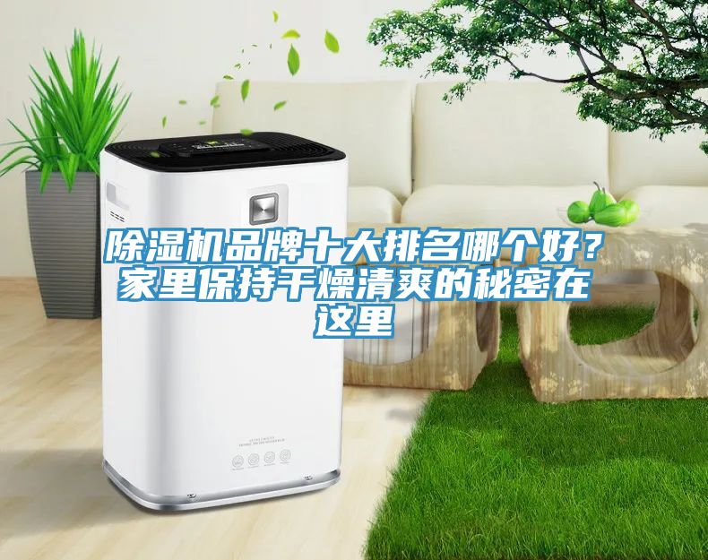 除濕機品牌十大排名哪個好?家里保持干燥清爽的秘密在這里