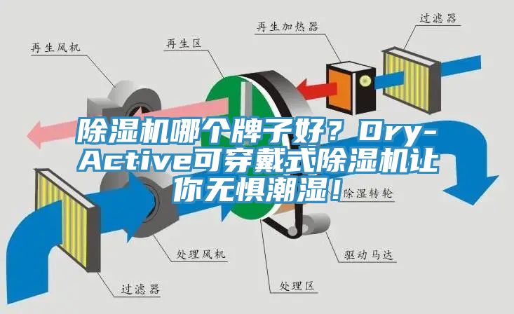 除濕機(jī)哪個(gè)牌子好?Dry-Active可穿戴式除濕機(jī)讓你無(wú)懼潮濕!