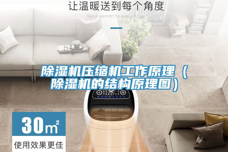 除濕機壓縮機工作原理(除濕機的結構原理圖)