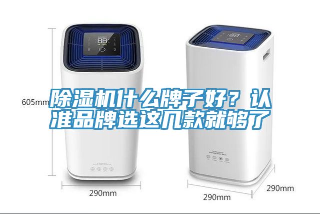 除濕機什么牌子好?認(rèn)準(zhǔn)品牌選這幾款就夠了