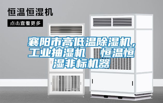 襄陽市高低溫除濕機,工業(yè)抽濕機 恒溫恒濕非標(biāo)機器