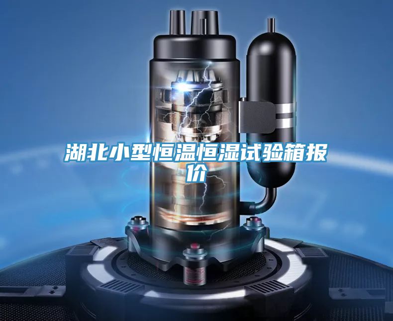湖北小型恒溫恒濕試驗(yàn)箱報價