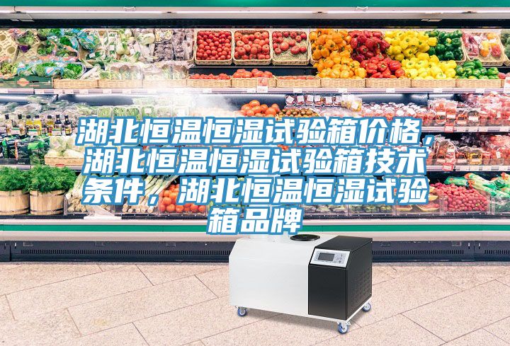 湖北恒溫恒濕試驗箱價格，湖北恒溫恒濕試驗箱技術(shù)條件，湖北恒溫恒濕試驗箱品牌