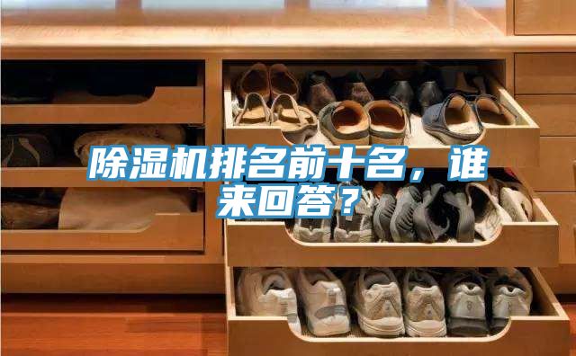除濕機(jī)排名前十名,誰(shuí)來(lái)回答?