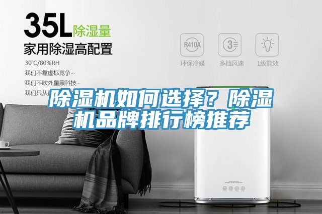 除濕機(jī)如何選擇?除濕機(jī)品牌排行榜推薦