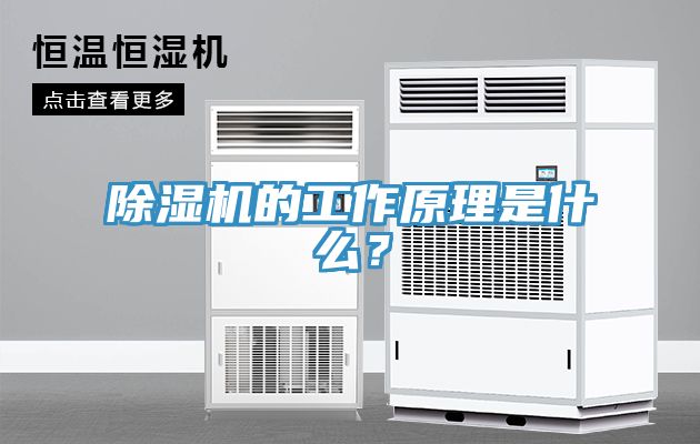 除濕機的工作原理是什么？