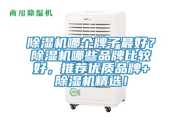 除濕機(jī)哪個(gè)牌子最好？除濕機(jī)哪些品牌比較好，推薦優(yōu)質(zhì)品牌+除濕機(jī)精選！