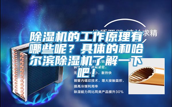 除濕機的工作原理有哪些呢？具體的和哈爾濱除濕機了解一下吧！