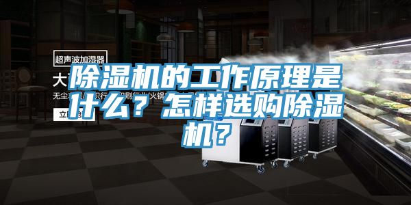 除濕機的工作原理是什么？怎樣選購除濕機？