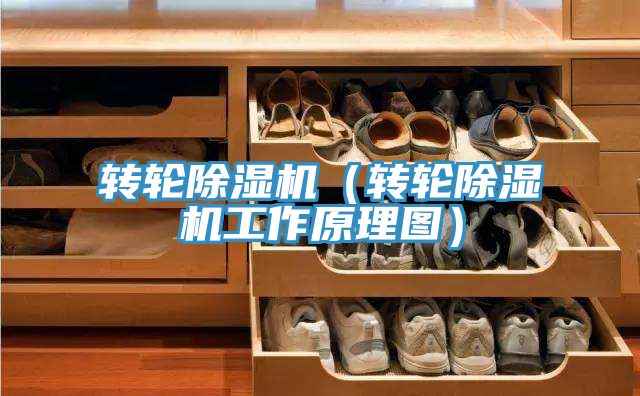 轉(zhuǎn)輪除濕機(轉(zhuǎn)輪除濕機工作原理圖)