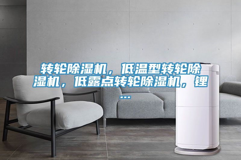 轉輪除濕機，低溫型轉輪除濕機，低露點轉輪除濕機，鋰 ...