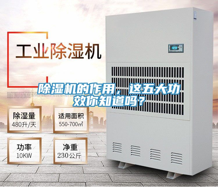 除濕機(jī)的作用,這五大功效你知道嗎?